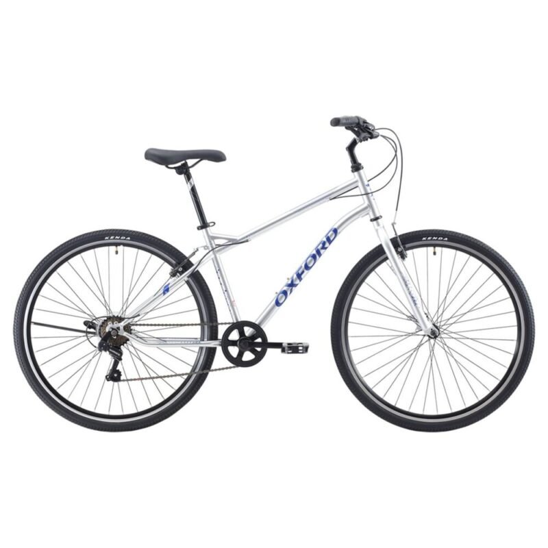 Bicicleta Capital 6V Gris Azul Aro29 1