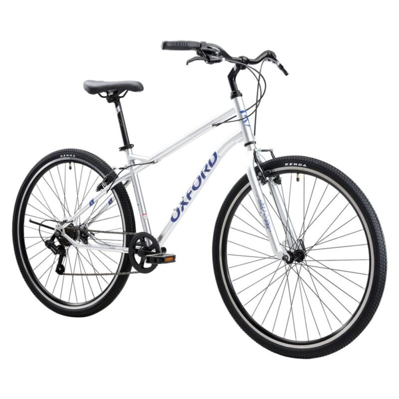 Bicicleta Capital 6V Gris Azul Aro29 2