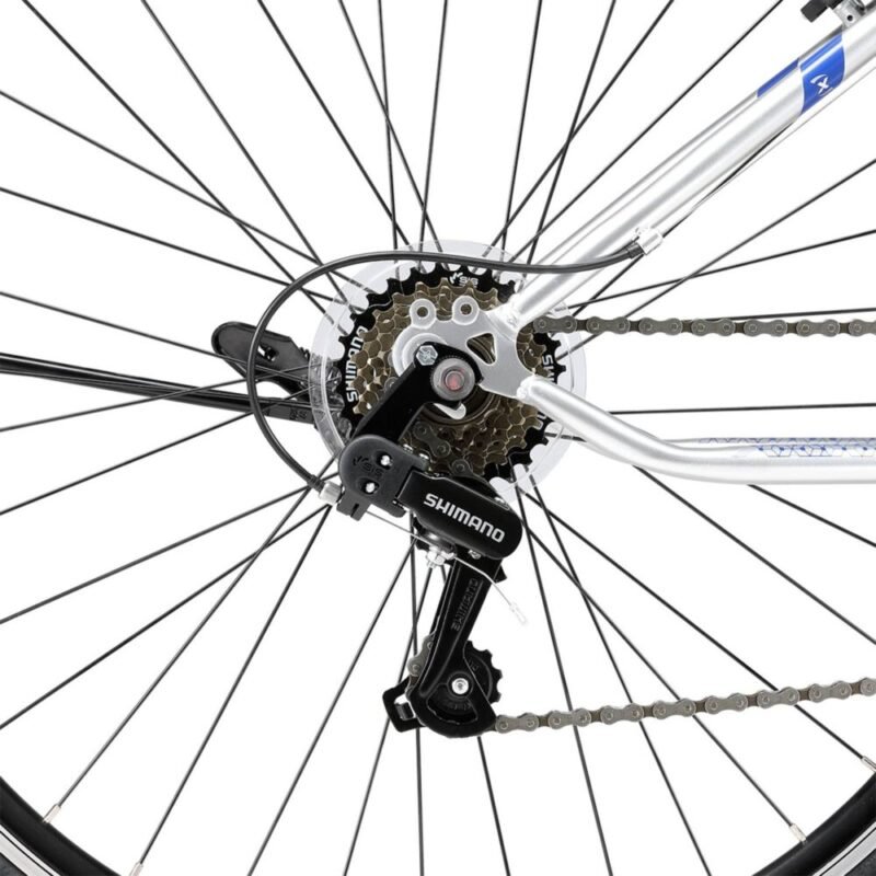 Bicicleta Capital 6V Gris Azul Aro29 3