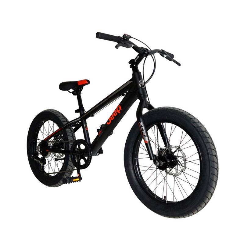 Bicicleta Infantil Aneto Aro 20 2