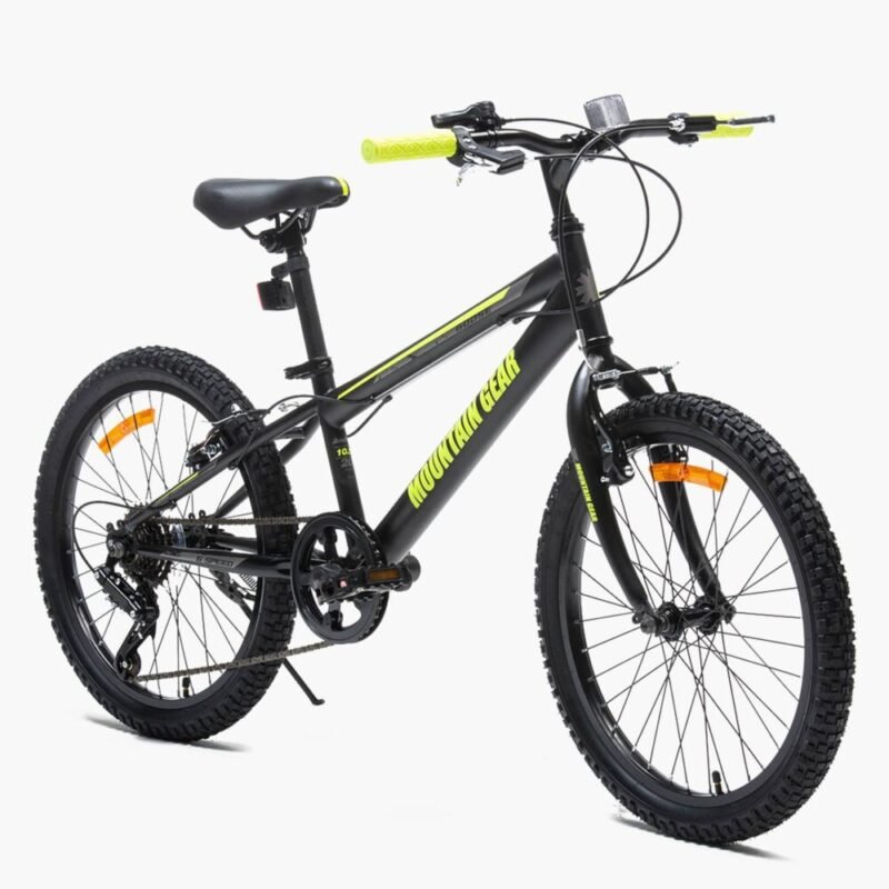 Bicicleta Infantil Mountain Gear Goose Aro 20 2