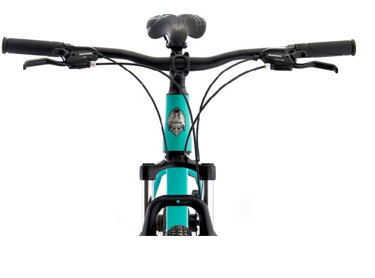 BICICLETA STONE MOUNTAIN ARO 29 SX TALLA M CELESTE 3