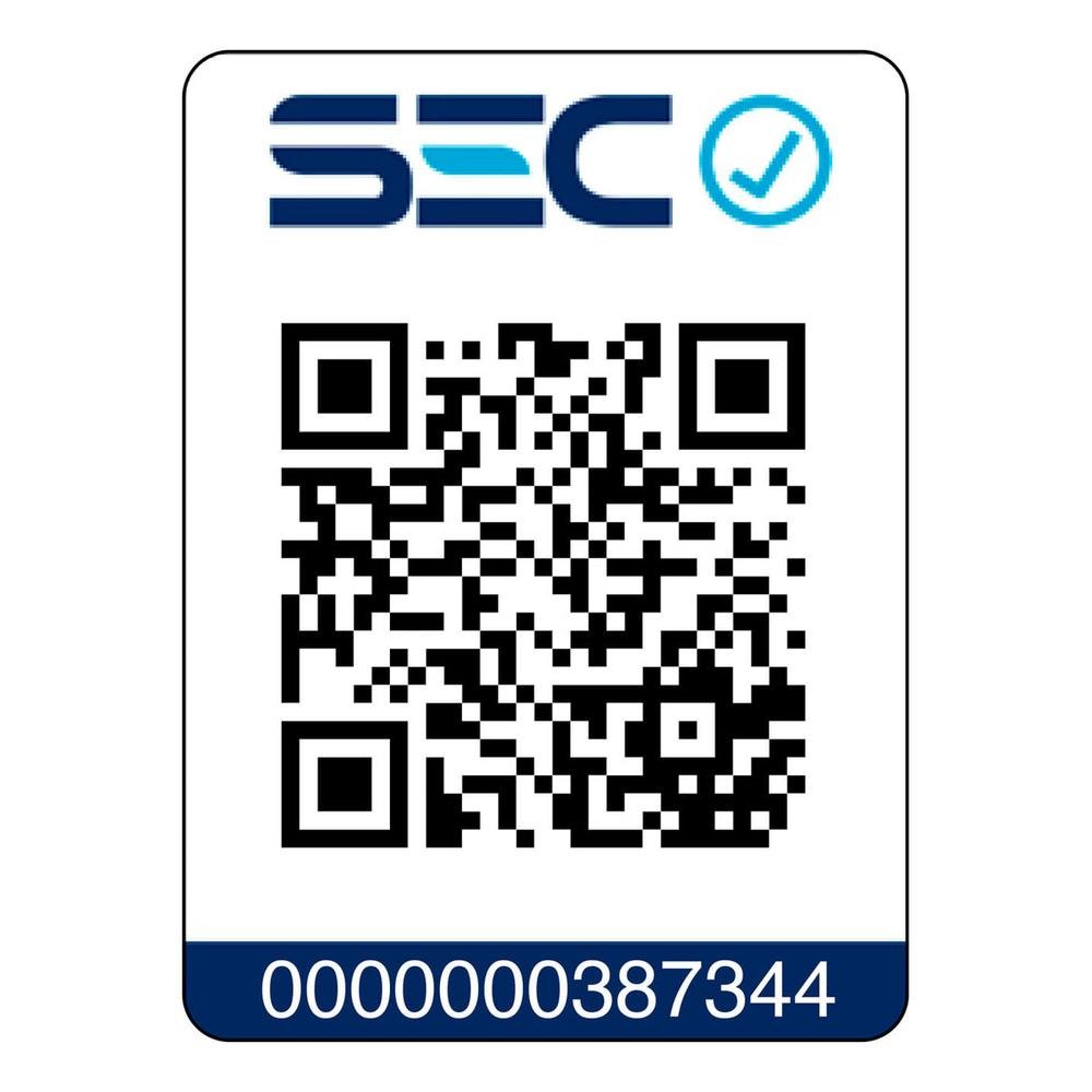 60727381